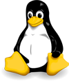 Linux Penguin Logo